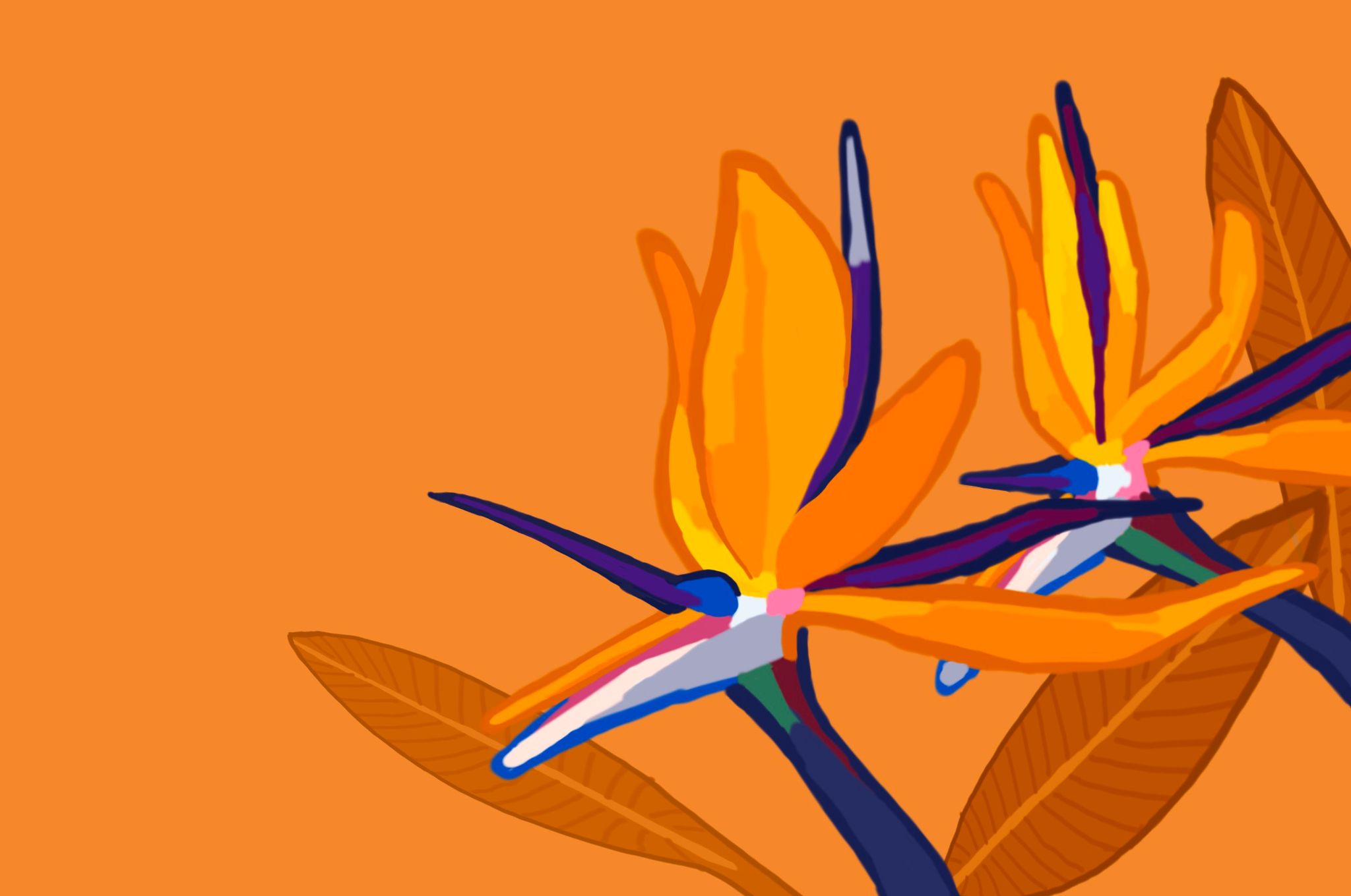 Spanish B Support Site